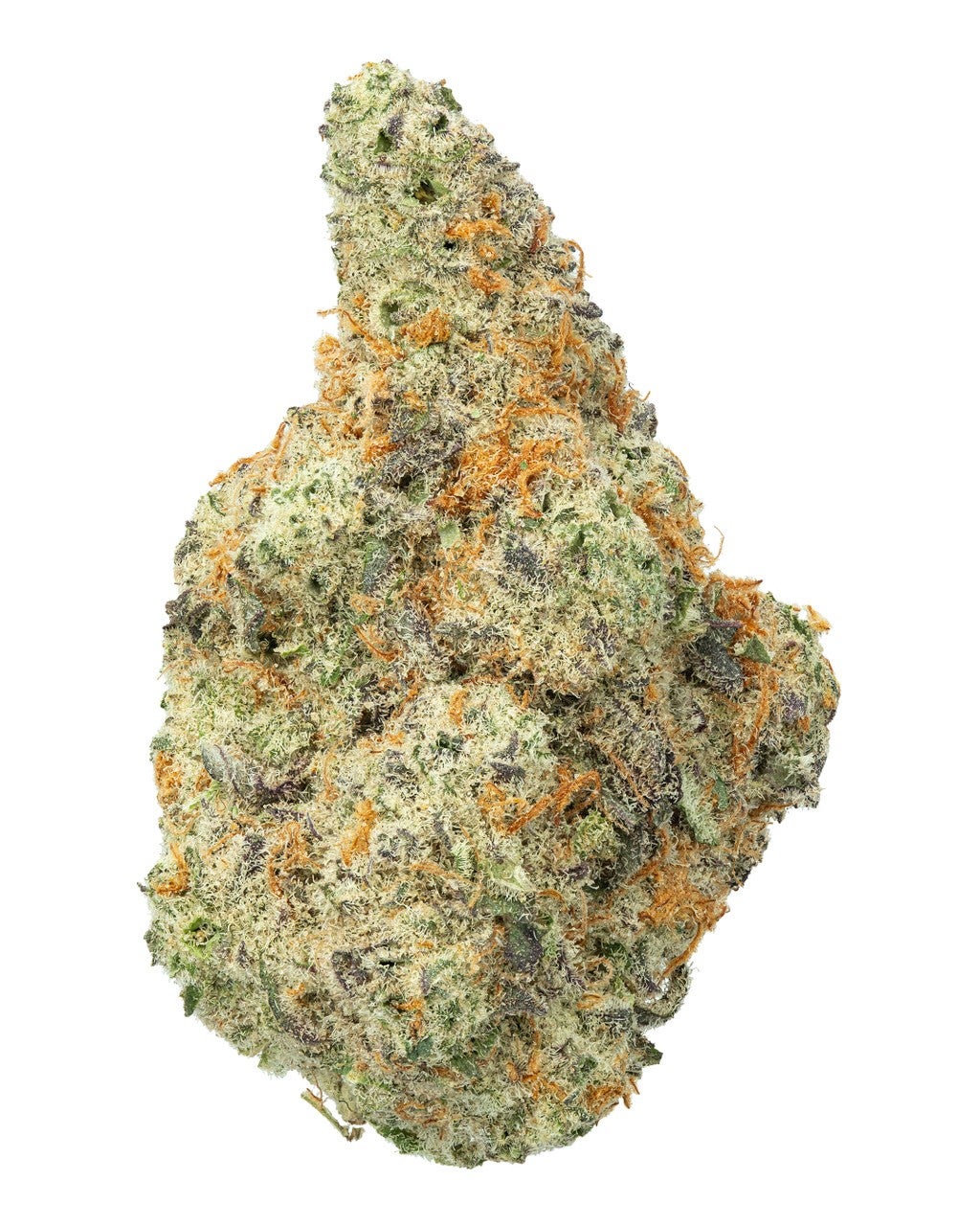 Exotic | 808 Cookies Hydro - THCa 28.439% : Terpenes 1.660% - Indica