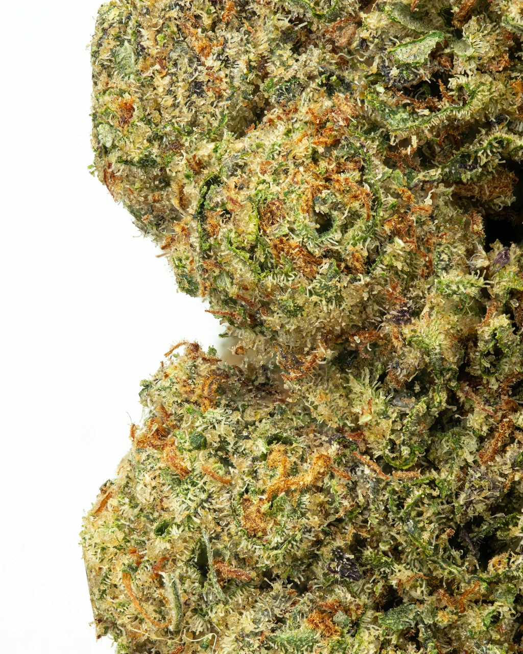 SMALLS | 24 Karat Hydro - THCa 31.112% : Terpenes 3.211% - Indica