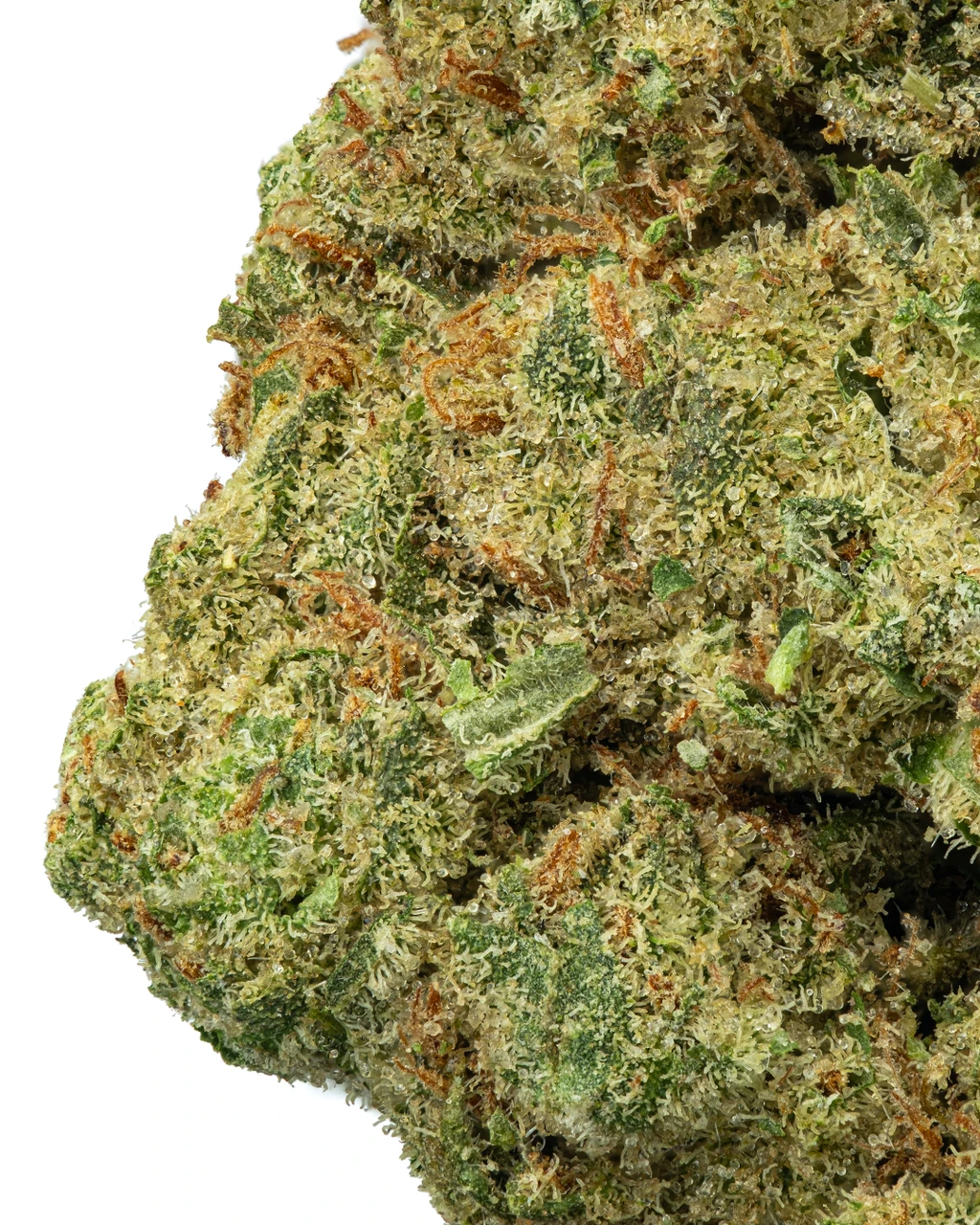 Alien OG — Call Me THCa